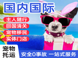 上海机场空运国际宠物托运 【国
